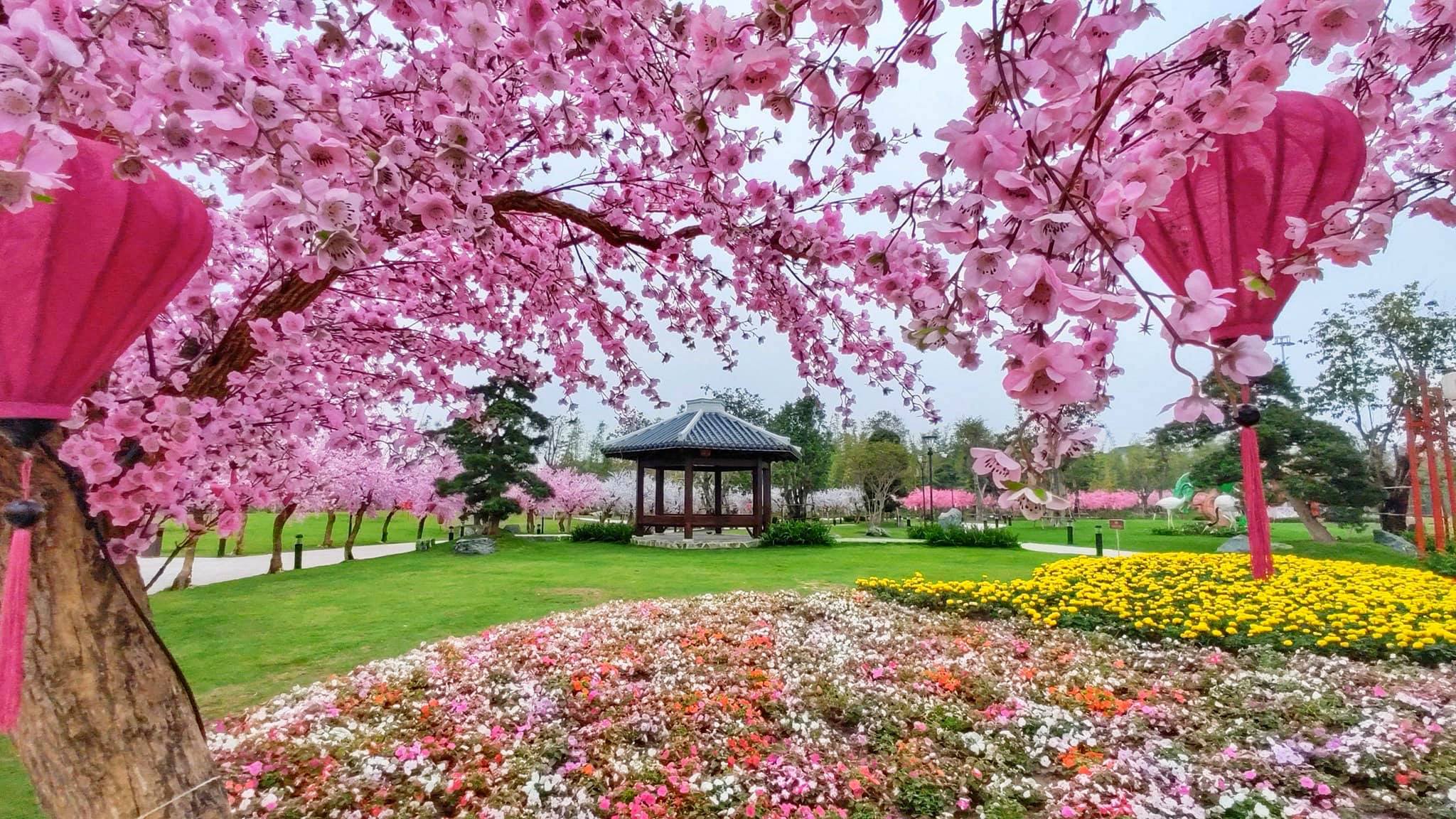 Công viên vườn Nhật Bản Zen Park đã khai trương từ tháng 9/2019