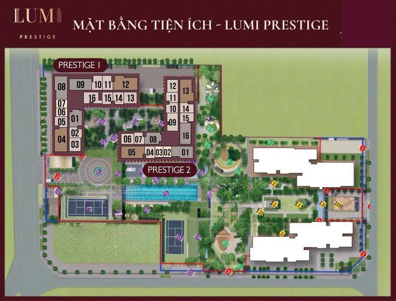 Tổng mặt bằng phân khu Lumi Prestige 